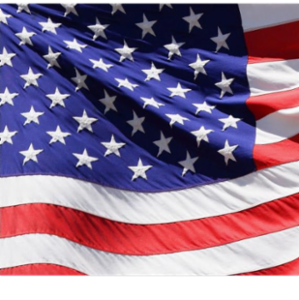 Bob Brown Insurance Services's logo