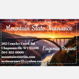 Mountain State Insurance Group LLC's logo
