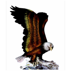 Aspire Insurance Inc., dba Brooks, Todd & McNeil