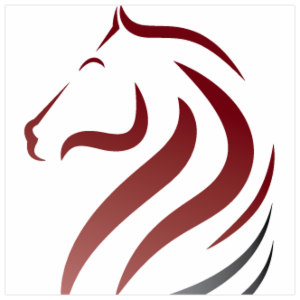 Martingale Underwriters, LLC dba Carver Square Insurance Agency